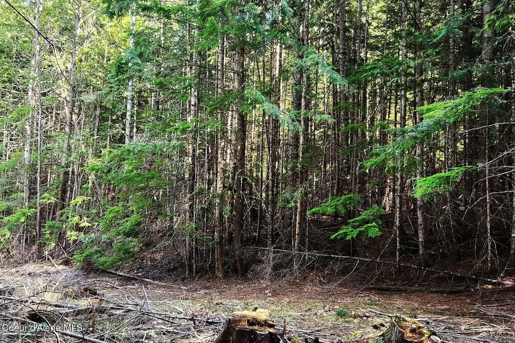 718 Slippery Slope Lot 2 Priest River ID 83856