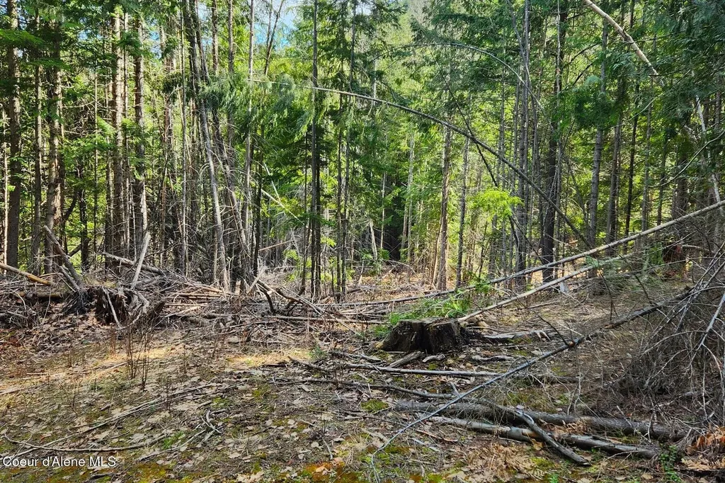 718 Slippery Slope Lot 2 Priest River ID 83856