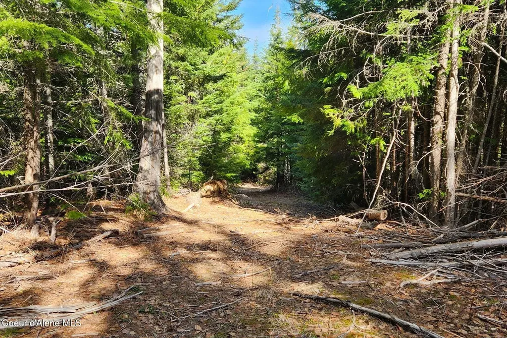 718 Slippery Slope Lot 2 Priest River ID 83856
