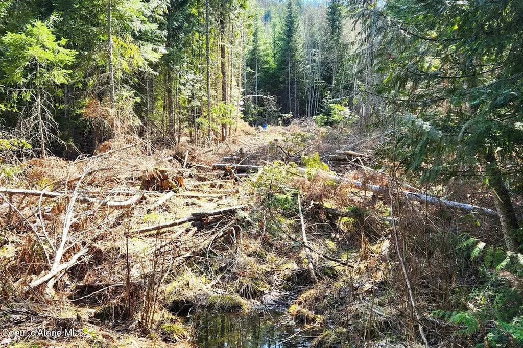 718 Slippery Slope Lot 2 Priest River ID 83856