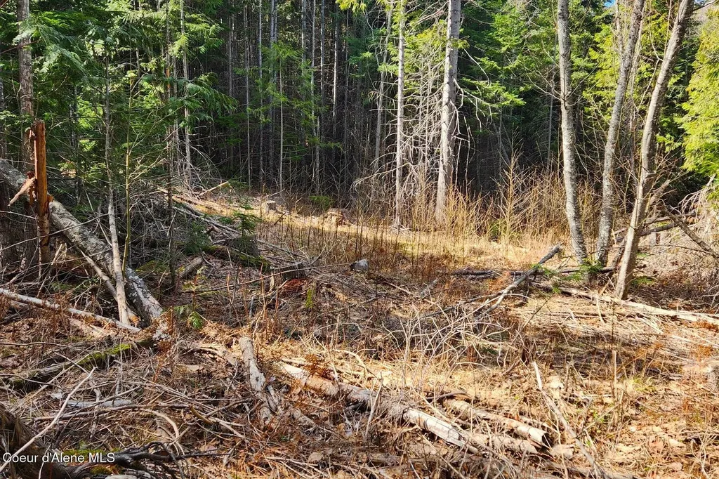 718 Slippery Slope Lot 2 Priest River ID 83856