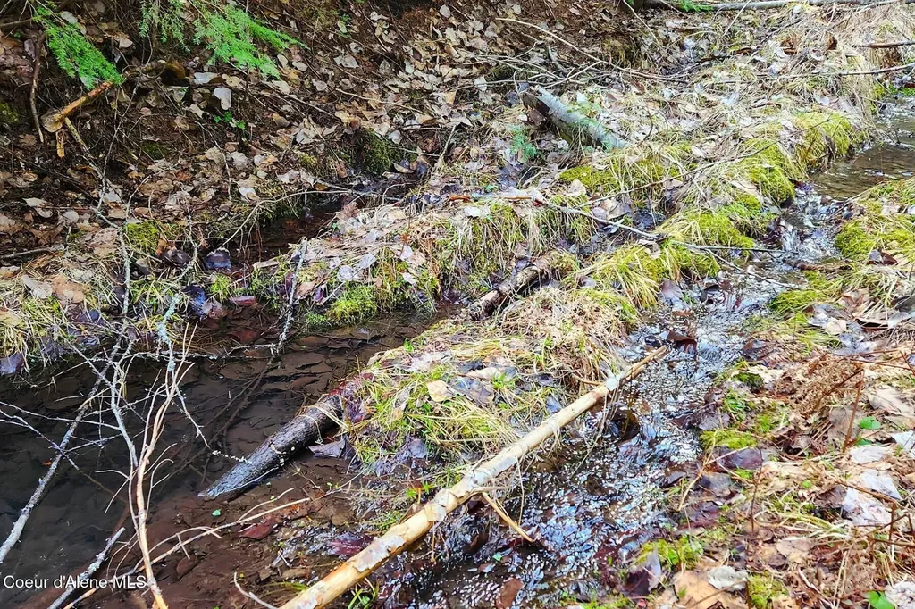 718 Slippery Slope Lot 2 Priest River ID 83856
