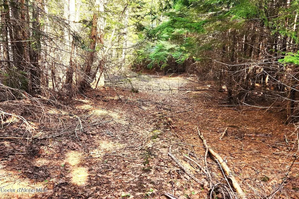 718 Slippery Slope Lot 2 Priest River ID 83856