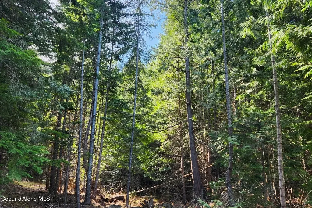 718 Slippery Slope Lot 2 Priest River ID 83856