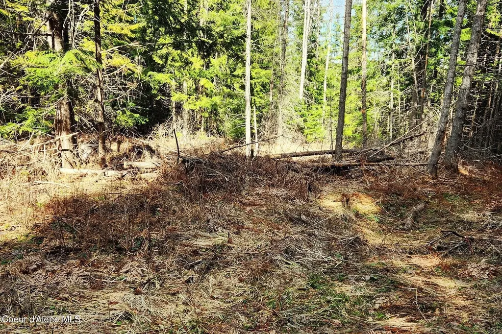 718 Slippery Slope Lot 2 Priest River ID 83856