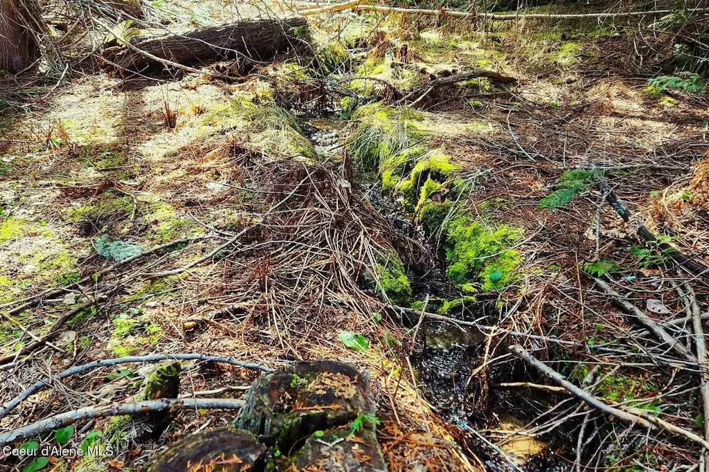 718 Slippery Slope Lot 2 Priest River ID 83856