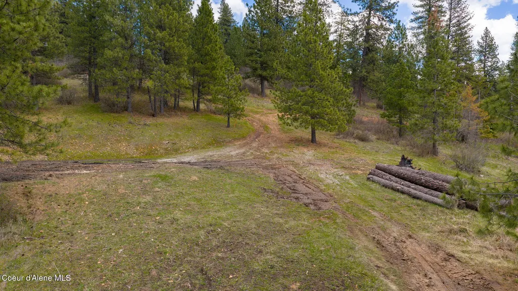 Nna N Triangle 7 Road Hayden ID 83835