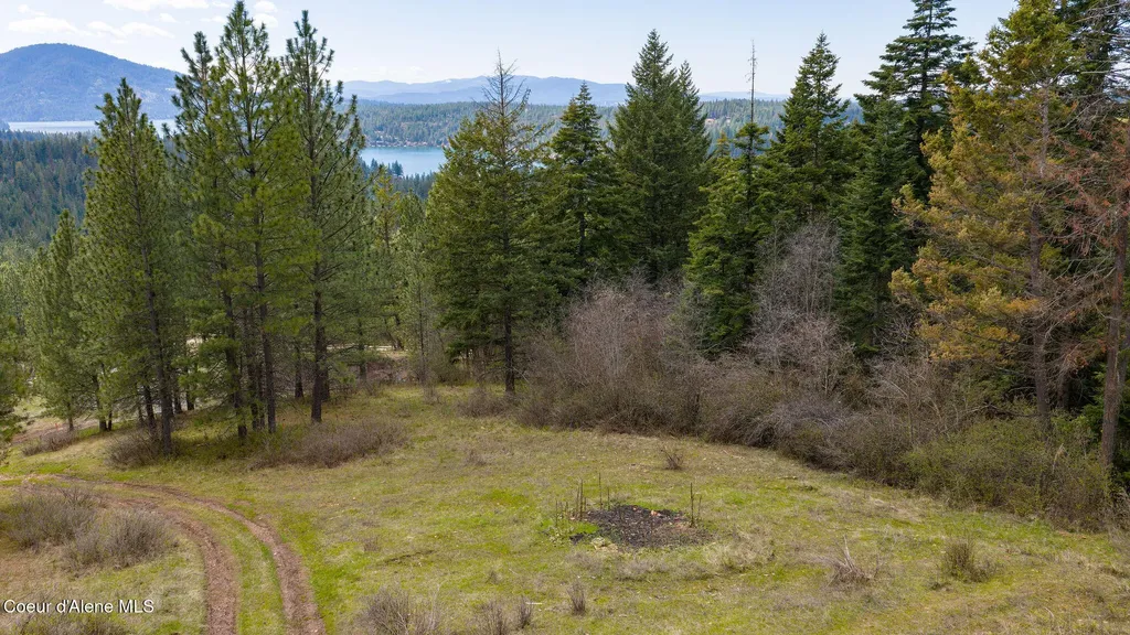 Nna N Triangle 7 Road Hayden ID 83835
