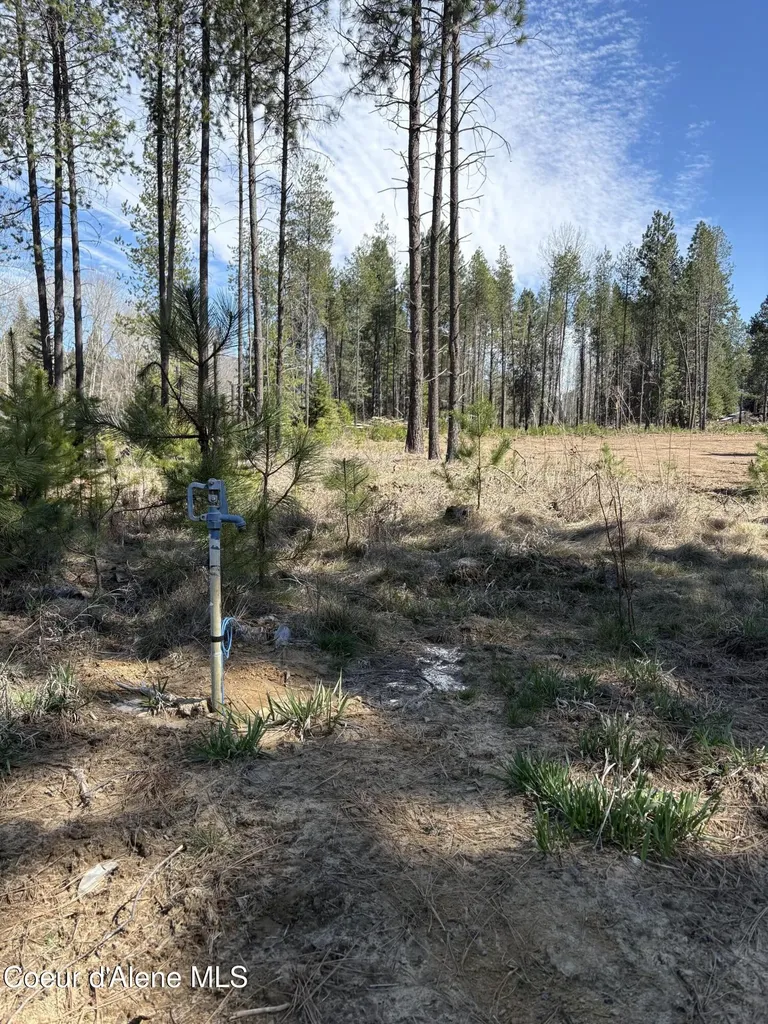 207 Davis Road Sagle ID 83860