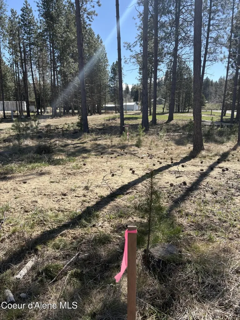 207 Davis Road Sagle ID 83860