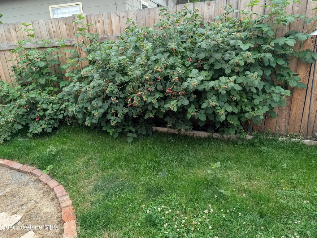 235 S 5th Street St. Maries ID 83861