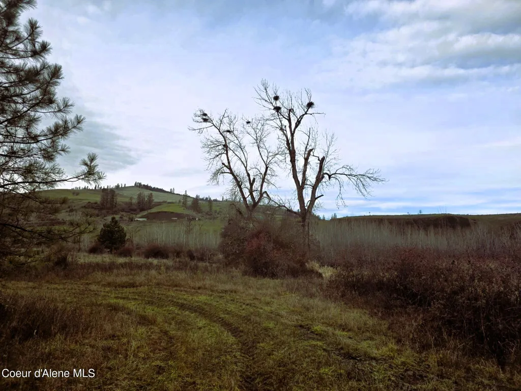 3841 Highway 13 Stites ID 83552