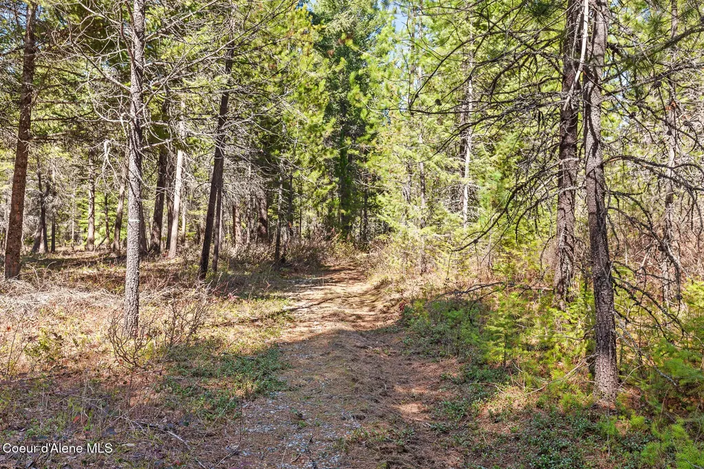 545 Peacock Lane Spirit Lake ID 83869