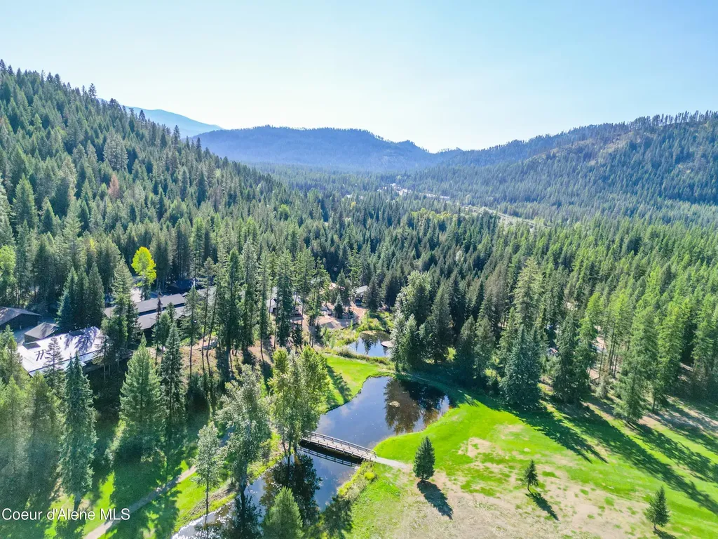 70 Wedge Court Priest Lake ID 83856