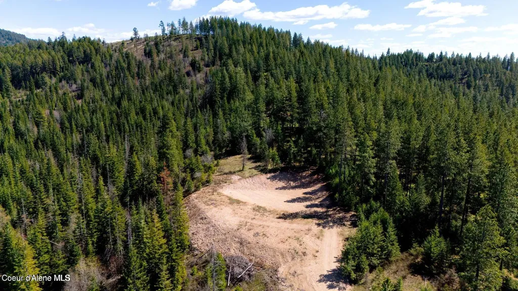 Lot 10 Moose Drive Plummer ID 83851