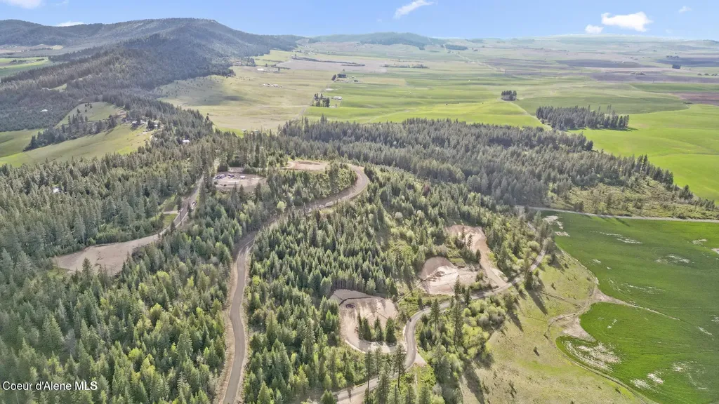 Lot 10 Moose Drive Plummer ID 83851