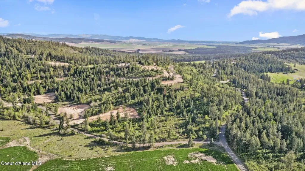 Lot 10 Moose Drive Plummer ID 83851