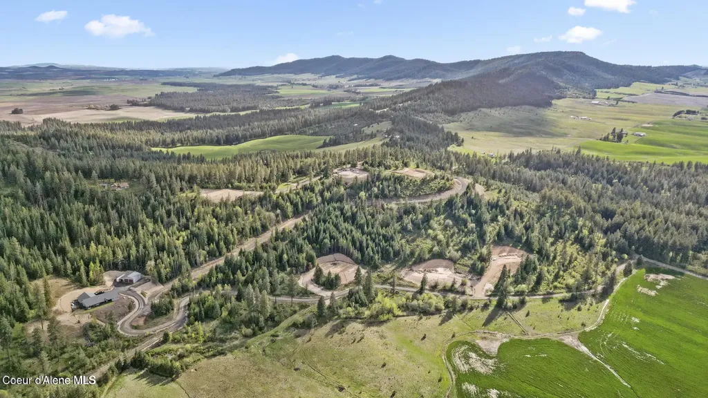 Lot 10 Moose Drive Plummer ID 83851