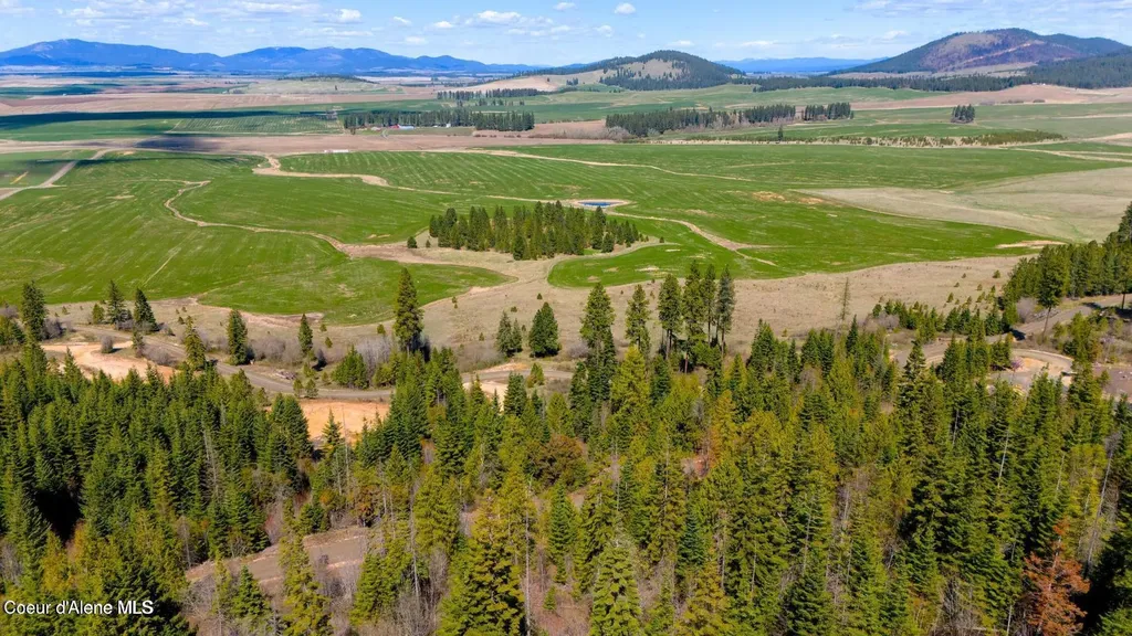 Lot 10 Moose Drive Plummer ID 83851