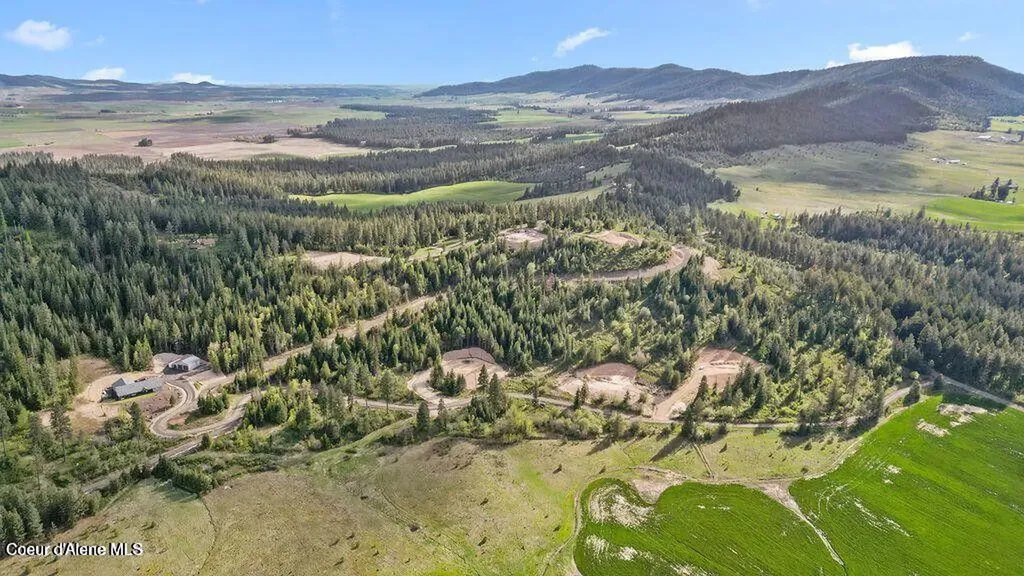 Lot 10 Moose Drive Plummer ID 83851