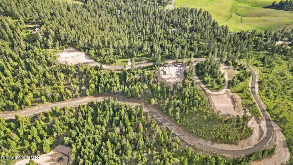 Lot 10 Moose Drive Plummer ID 83851