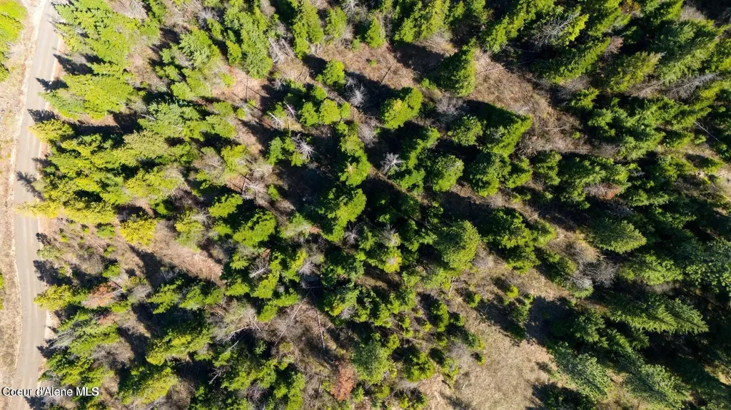 Lot 9 Lone Moose Drive Plummer ID 83851