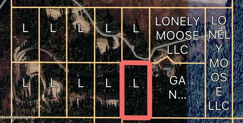 Lot 9 Lone Moose Drive Plummer ID 83851