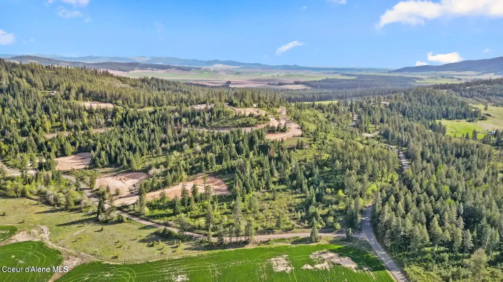 Lot 9 Lone Moose Drive Plummer ID 83851