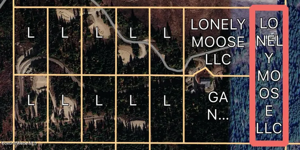 Lot 7 Lone Moose Drive Plummer ID 83851