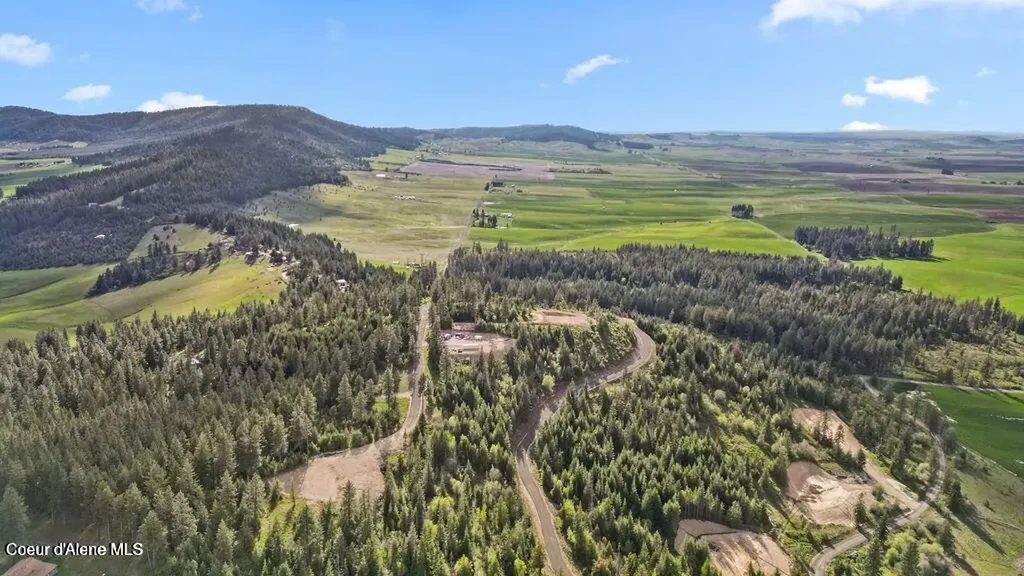 Lot 12 Lone Moose Drive Plummer ID 83851