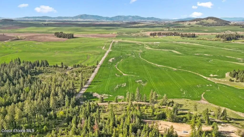 Lot 12 Lone Moose Drive Plummer ID 83851