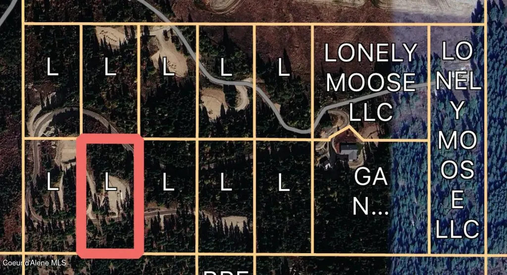 Lot 12 Lone Moose Drive Plummer ID 83851