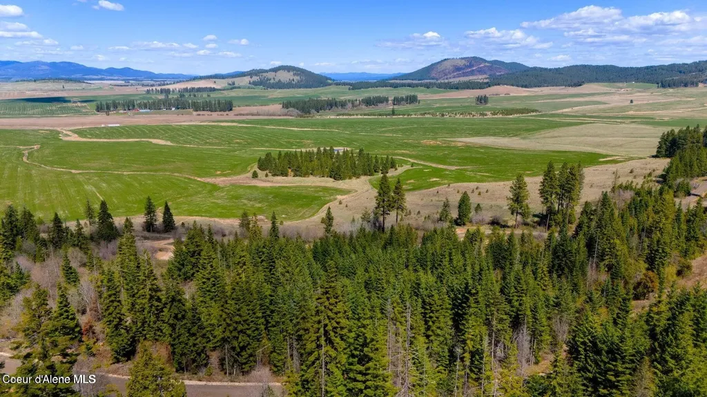 Lot 11 Lone Moose Drive Plummer ID 83851