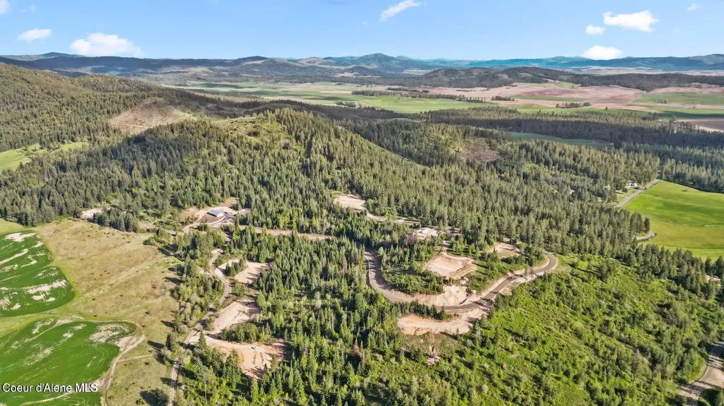 Lot 11 Lone Moose Drive Plummer ID 83851