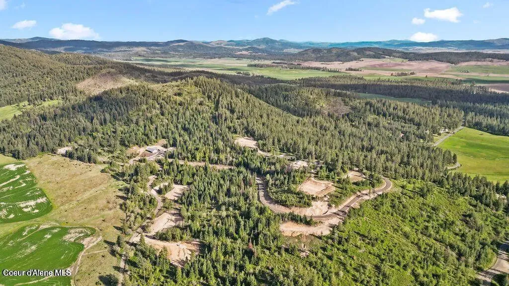 Lot 11 Lone Moose Drive Plummer ID 83851