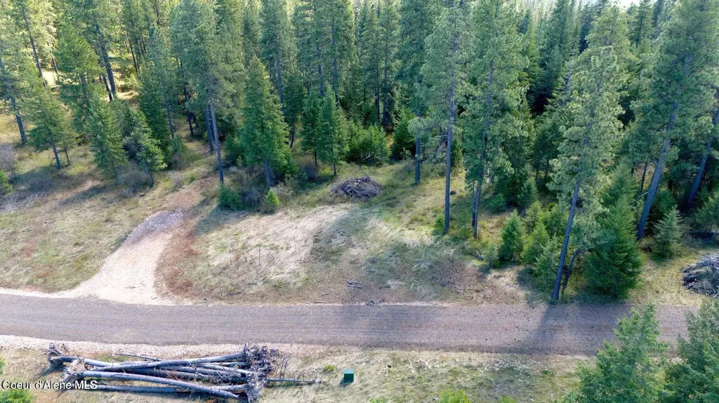 Lot 11 Lone Moose Drive Plummer ID 83851