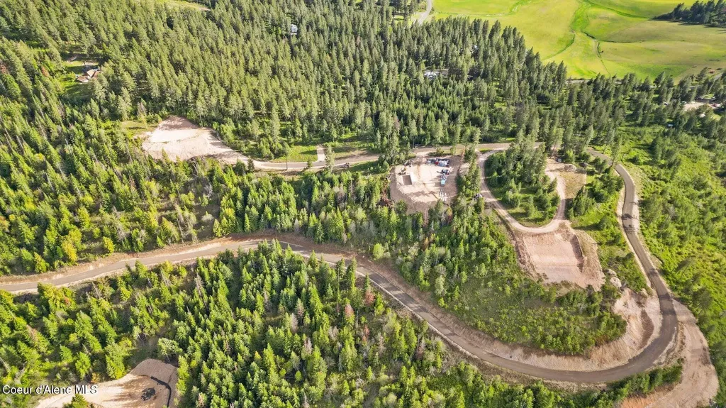 Lot 11 Lone Moose Drive Plummer ID 83851