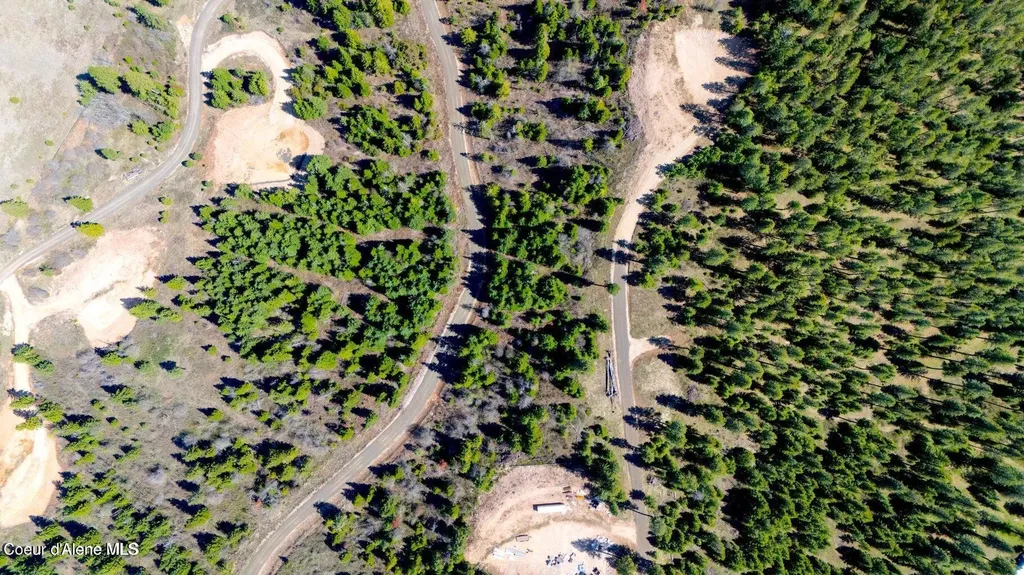Lot 11 Lone Moose Drive Plummer ID 83851