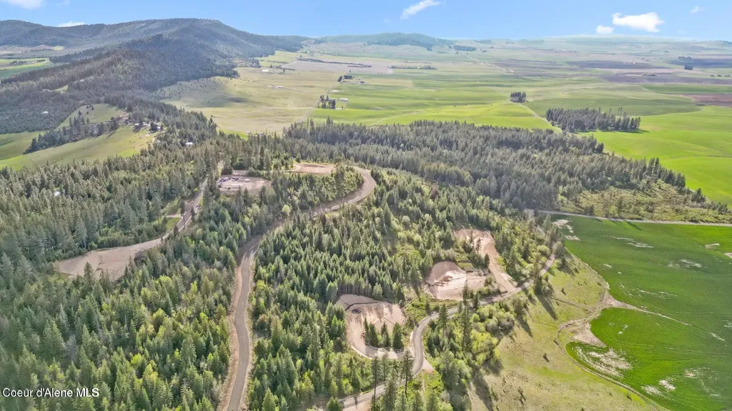 Lot 11 Lone Moose Drive Plummer ID 83851