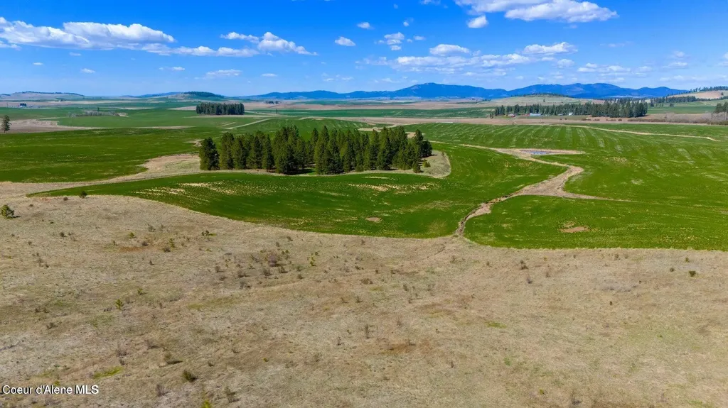 Lot 5 Lone Moose Drive Plummer ID 83851