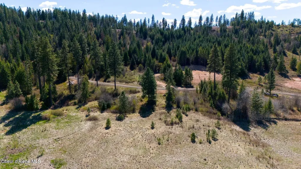 Lot 5 Lone Moose Drive Plummer ID 83851