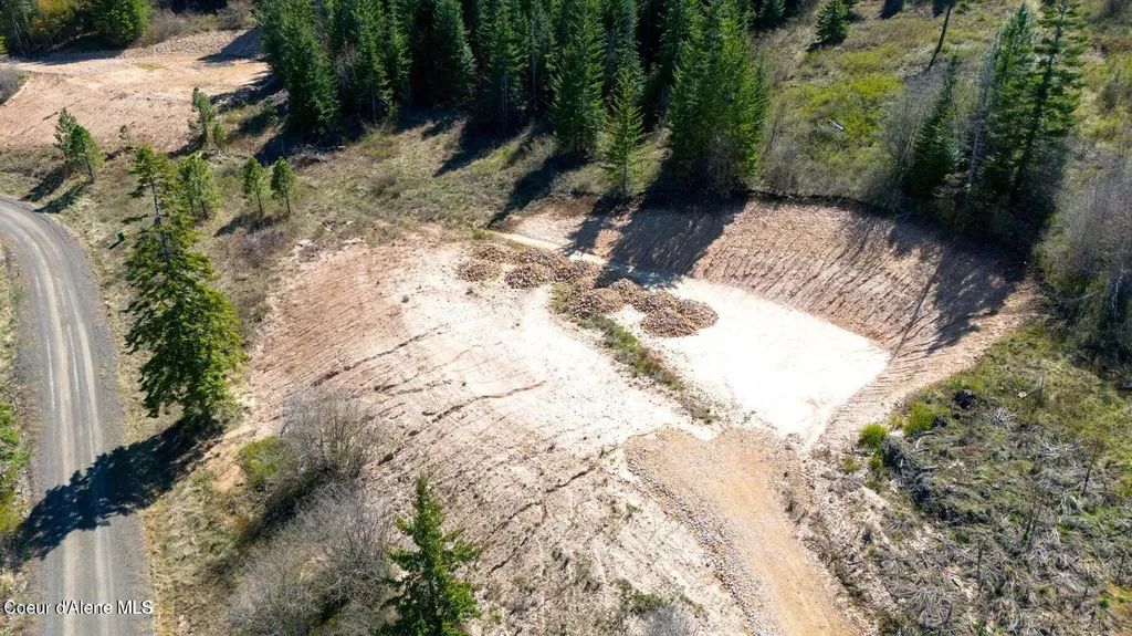 Lot 3 Lone Moose Drive Plummer ID 83851
