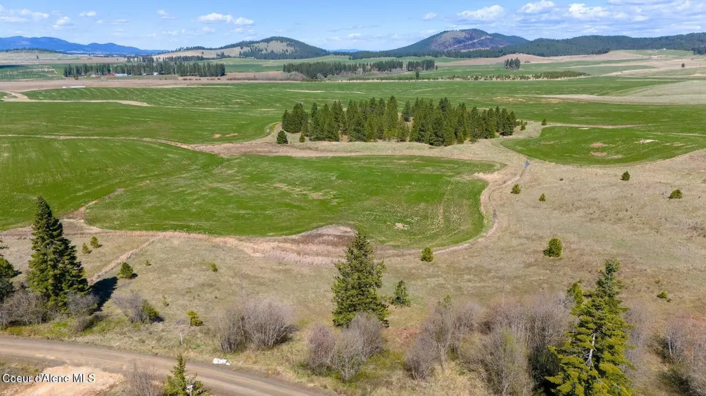 Lot 3 Lone Moose Drive Plummer ID 83851