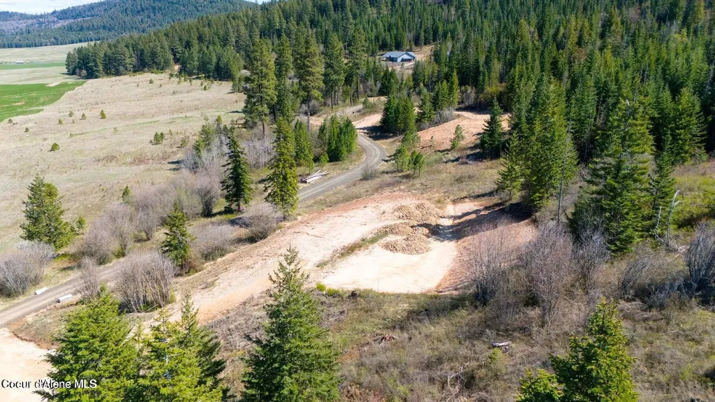 Lot 3 Lone Moose Drive Plummer ID 83851