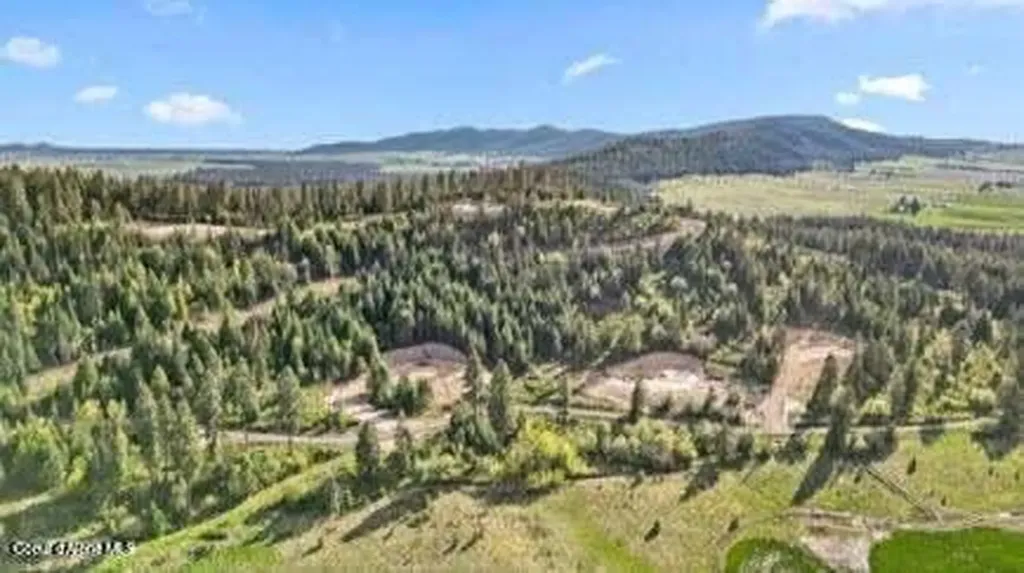 Lot 3 Lone Moose Drive Plummer ID 83851
