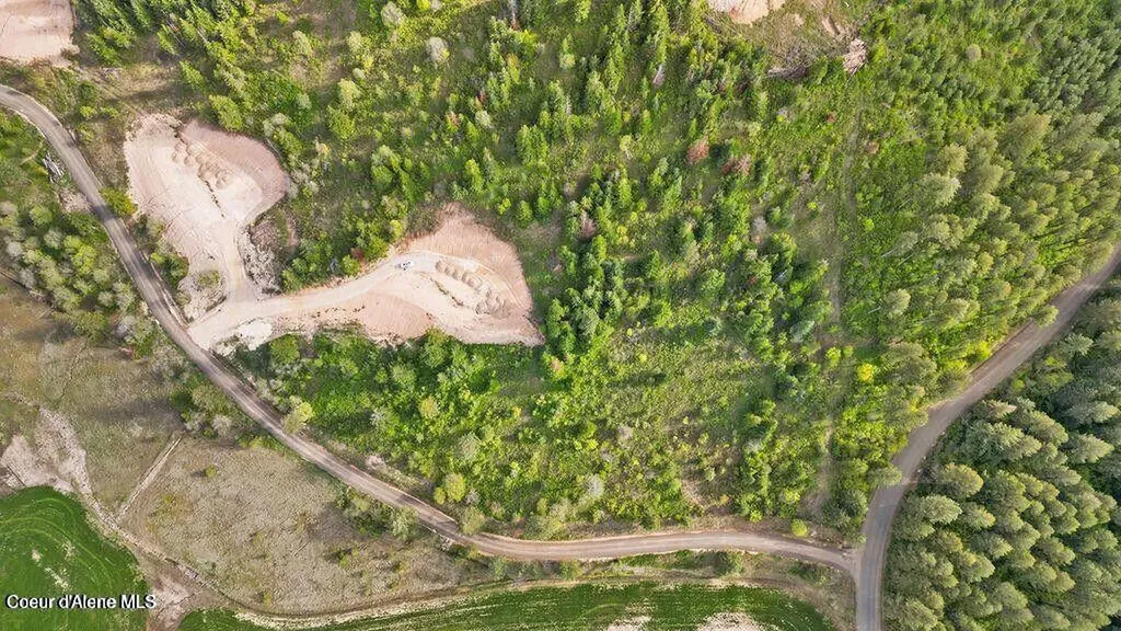 Lot 3 Lone Moose Drive Plummer ID 83851