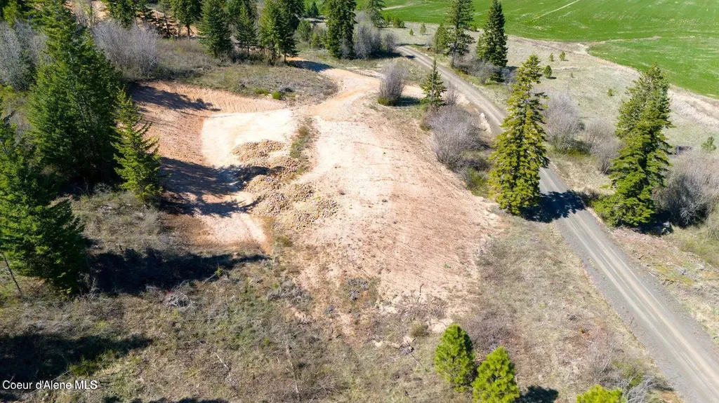 Lot 3 Lone Moose Drive Plummer ID 83851