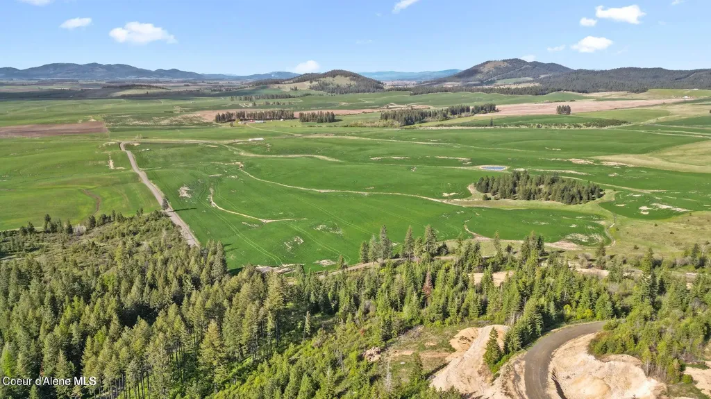 Lot 1 Lone Moose Drive Plummer ID 83851