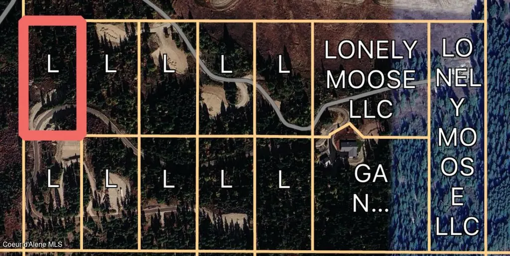 Lot 1 Lone Moose Drive Plummer ID 83851
