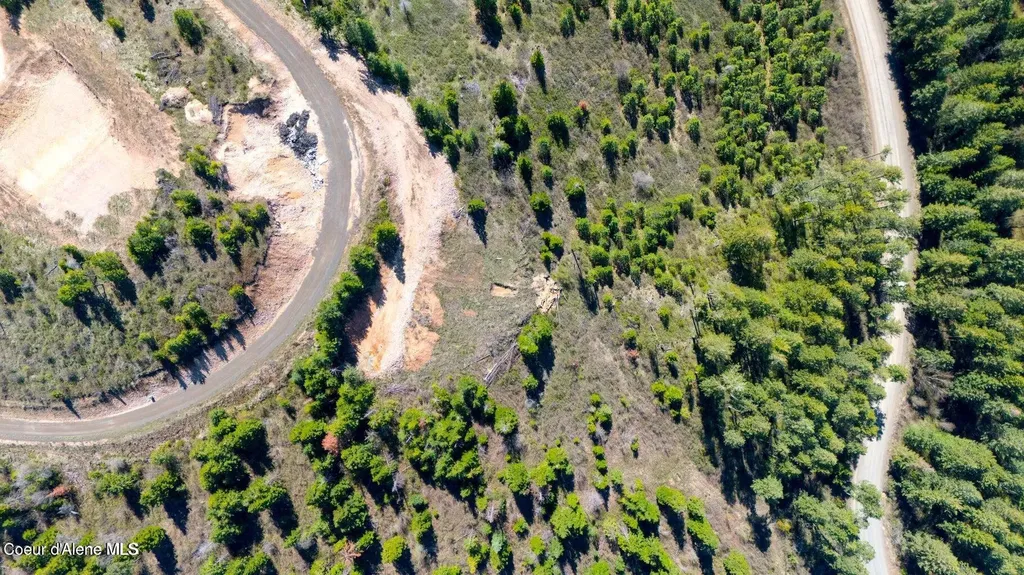 Lot 1 Lone Moose Drive Plummer ID 83851